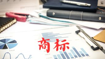 商标布局：塑造并强化企业品牌竞争力的基石